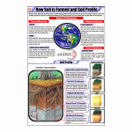 How Soil is formed and soil profile